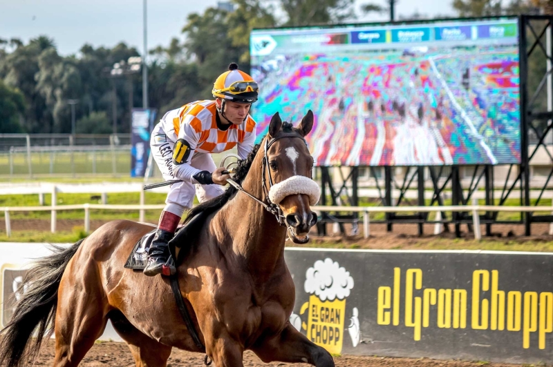Nuestro Hipódromo sigue creciendo: nueva pantalla gigante frente a la recta final